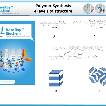 Polymer Synthesis Company